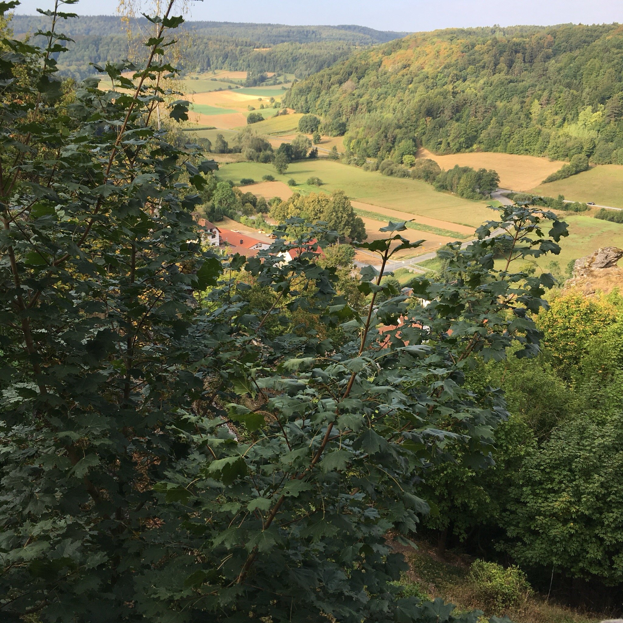 Naturfreundehaus Veilbronn-官方
