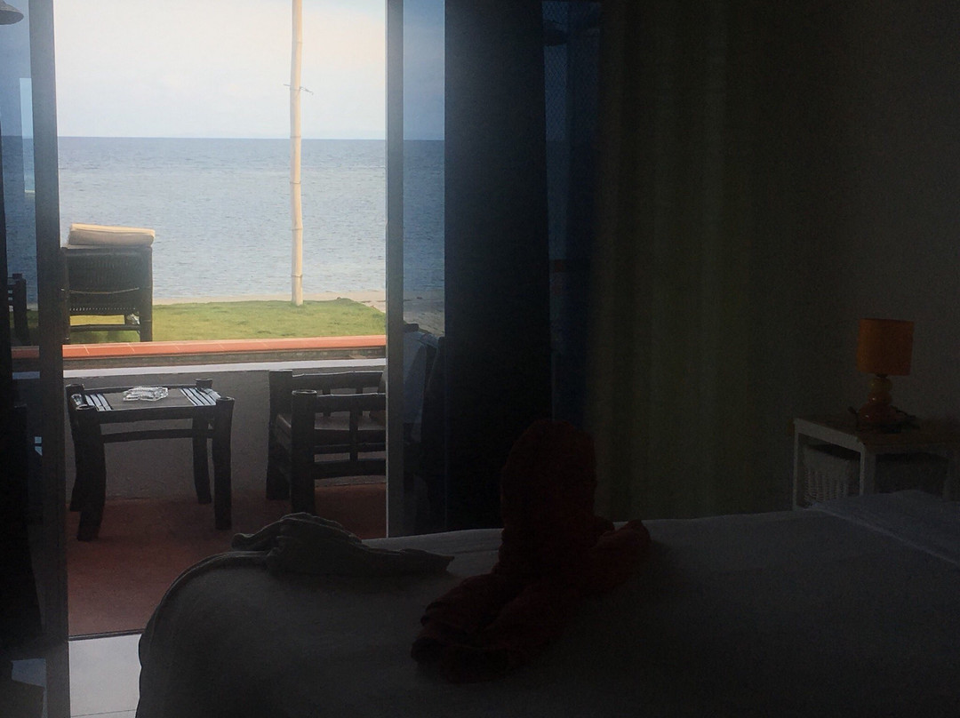 The Beach House主图