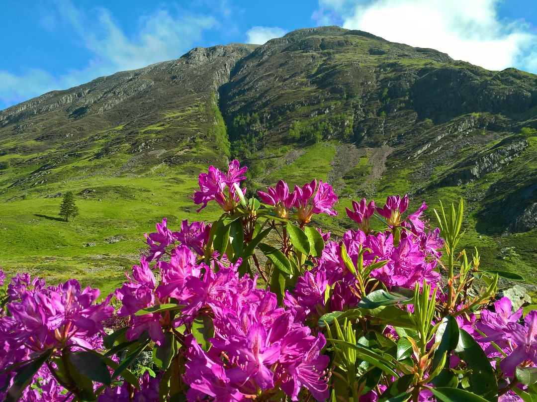 Luxury Highland Tours景点图片