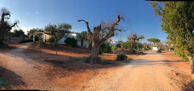 I Mulicchi Hotel主图