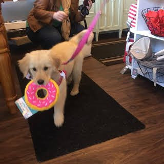 WaggMore Pet Boutique & Bakery Dog Friendly-Sparta必去景点