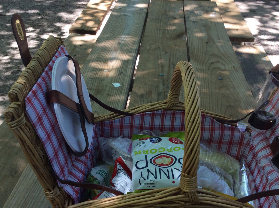 Downs Park-Pasadena必去景点