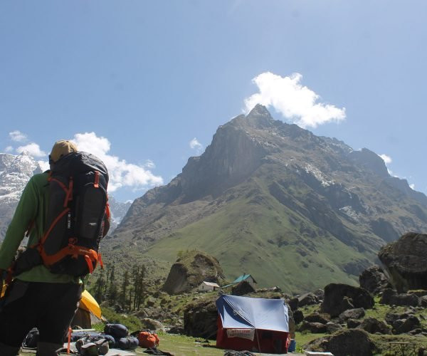 Himalayas Griffon-阿姆利则必去景点