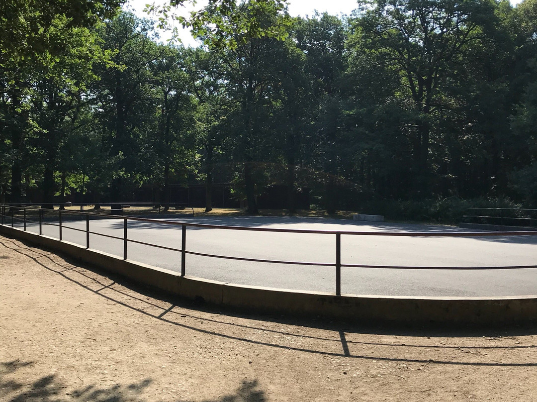 Waldspielpark Heinrich-Kraft-Park-法兰克福必去景点