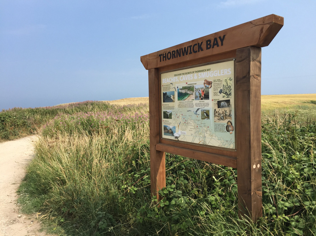 Thornwick Bay景点图片