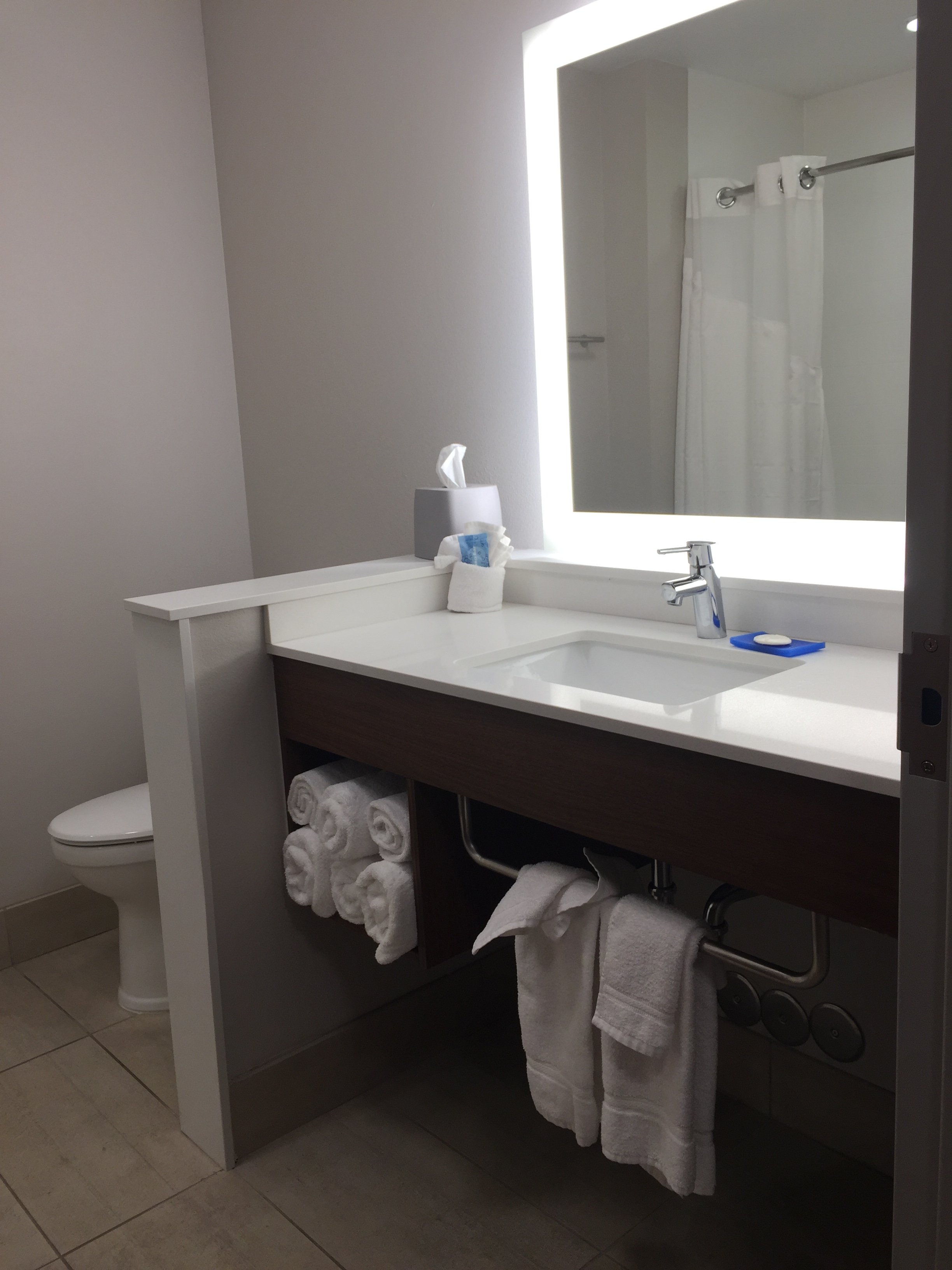 Holiday Inn Express & Suites Brigham City - North Utah By IHG-浴室