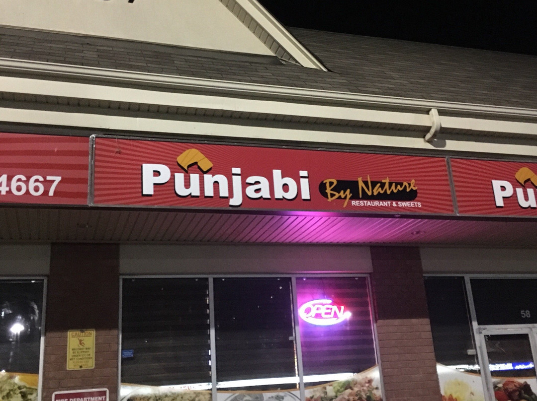 Punjabi by Nature