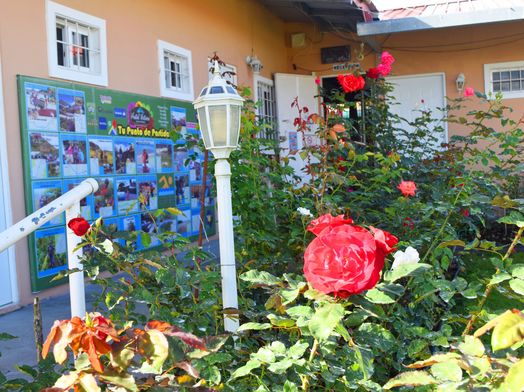 Hostal Victoria Volcan Chiriqui主图