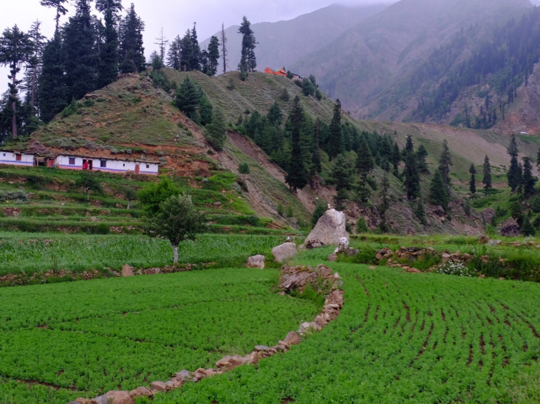 Roomy Mountain Top Resort, Batakundi