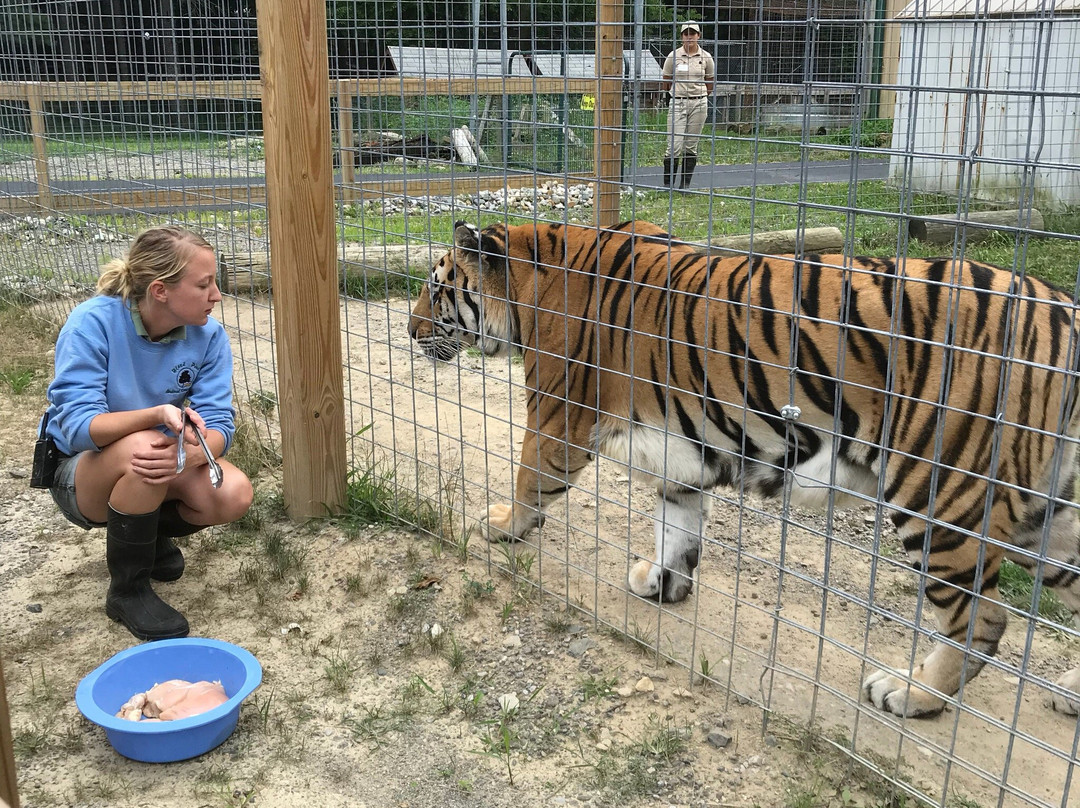 Black Pine Animal Sanctuary景点图片
