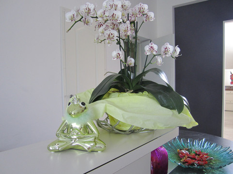 米特尔蓬克特酒店主图