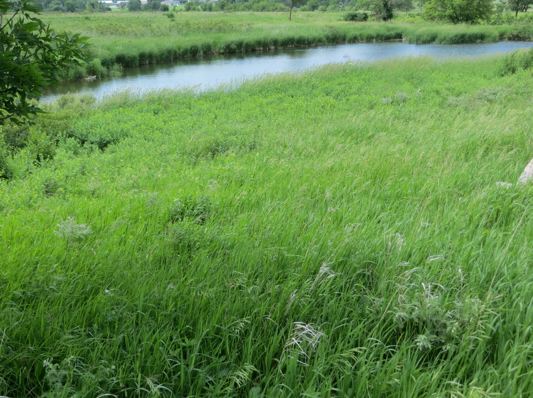 Circle Trail-Pipestone必去景点