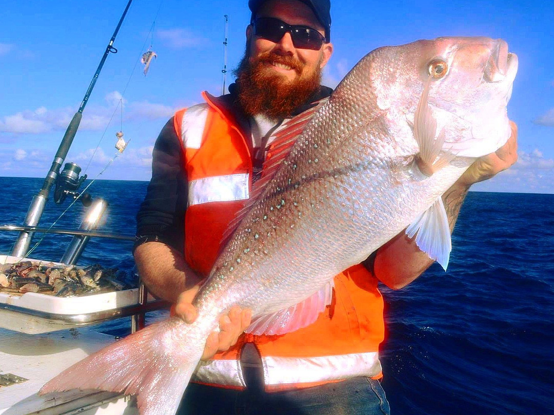 Keen as Fish-Marion Bay必去景点