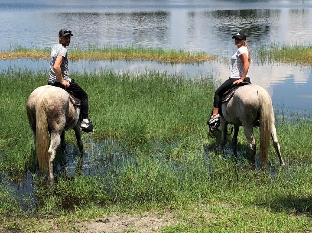 Horsespring Farm-莱克威尔士必去景点