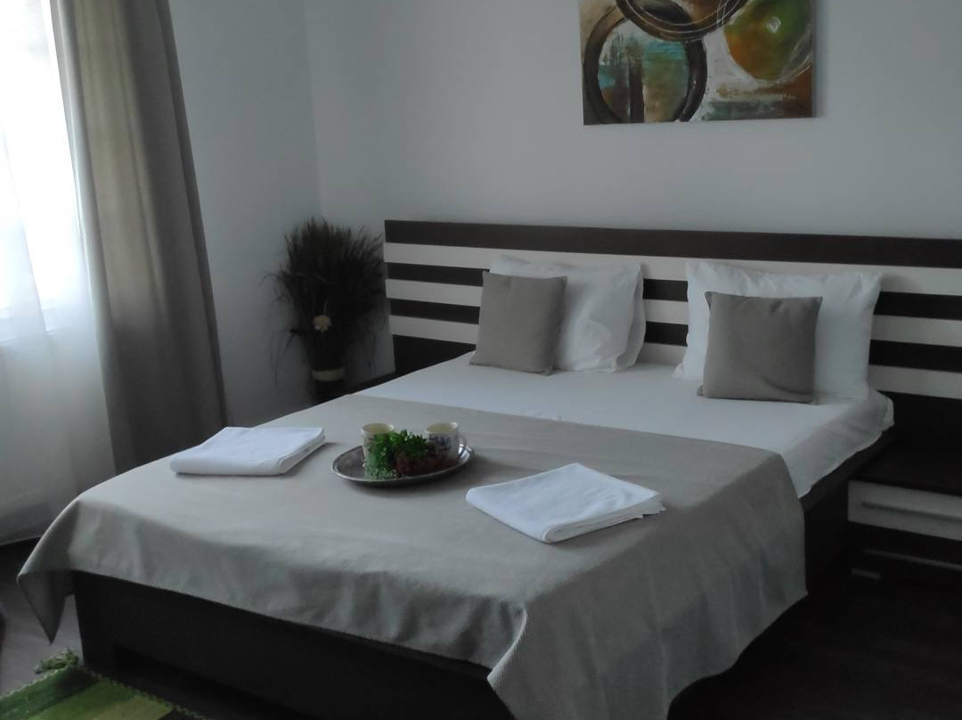 Magic Apartments Hunedoara主图