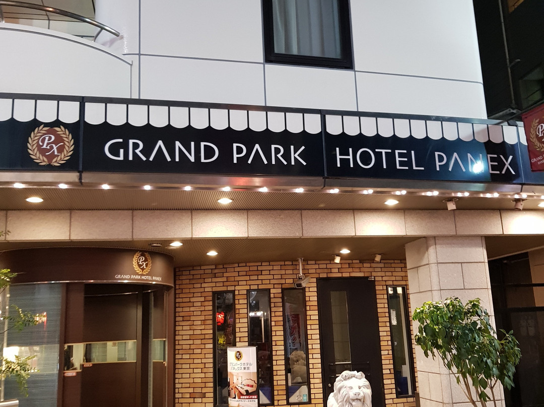 帕内克斯酒店主图