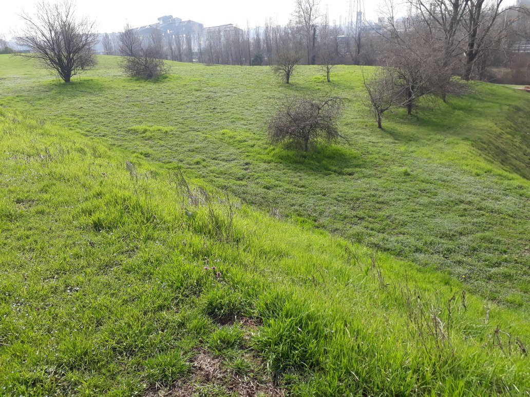 Parco della Media Valle del Lambro景点图片