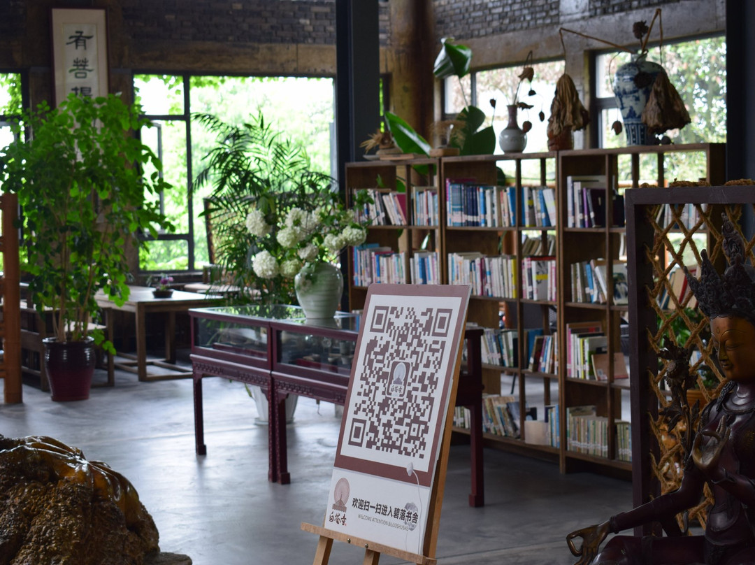 无根山-崇州市必去景点