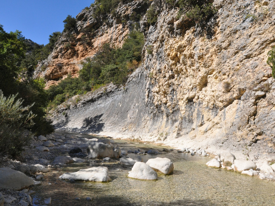 Gorges du Toulourenc景点图片