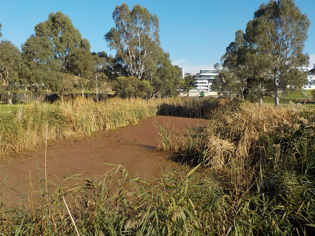 Jack's Magazine-墨尔本必去景点