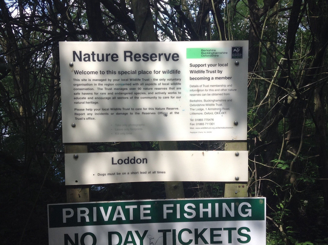 Loddon Nature Reserve-Twyford必去景点