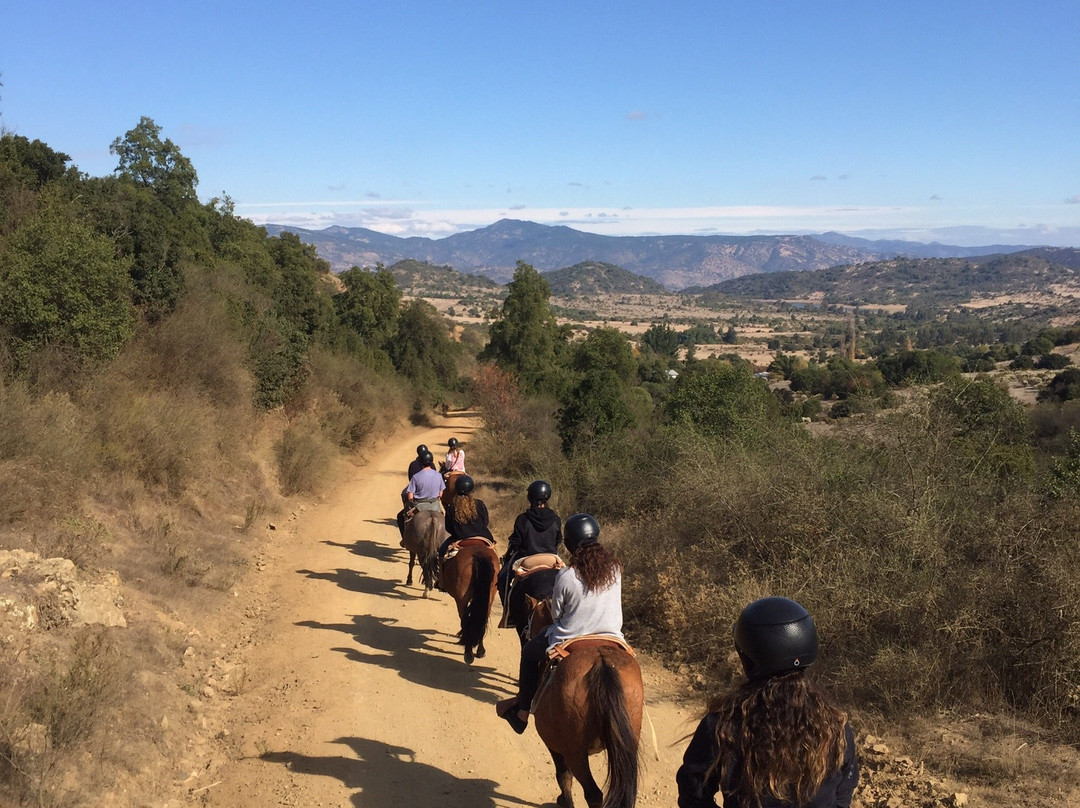 Colchagua Turismo Rural-圣克鲁斯必去景点