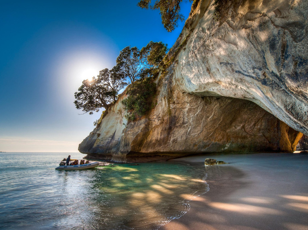 Hahei Explorer Cathedral Cove Boat Tour景点图片