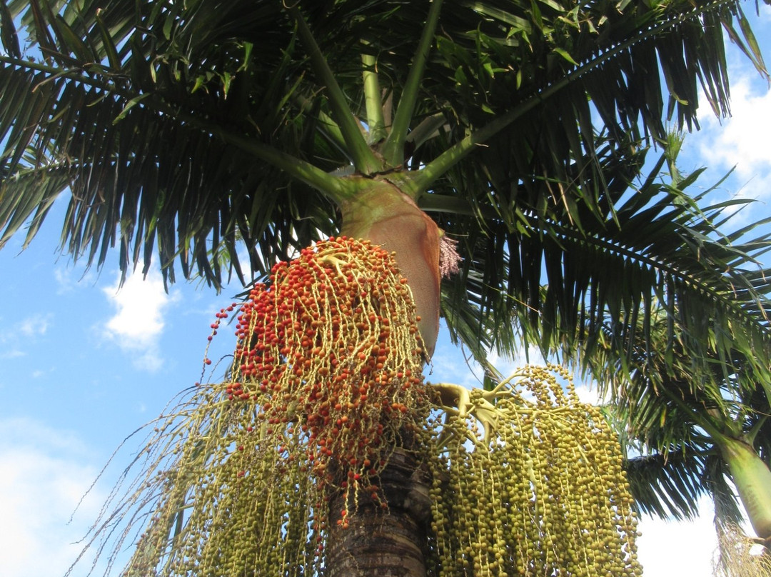 亚当公园住宿加早餐酒店主图