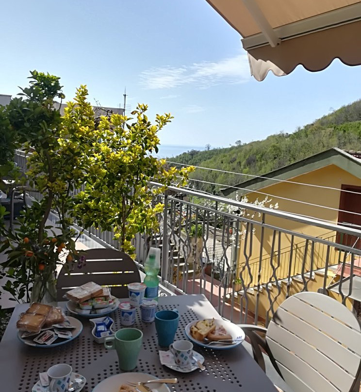 Il Covo delle Civette主图