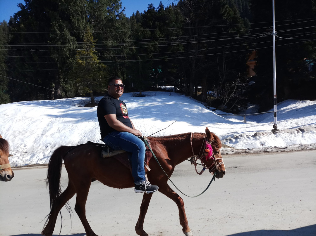 Rani Temple-贡马必去景点