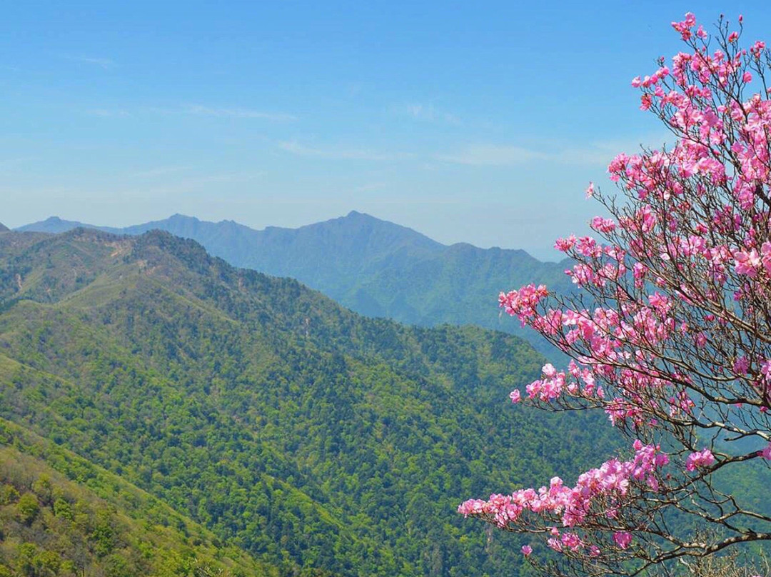 Mt. Katamuki-丰后大野市必去景点
