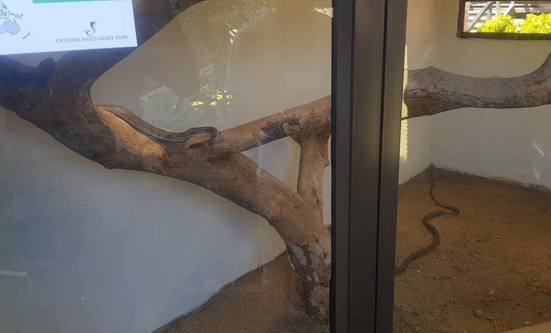 Victoria Falls Snake Park景点图片