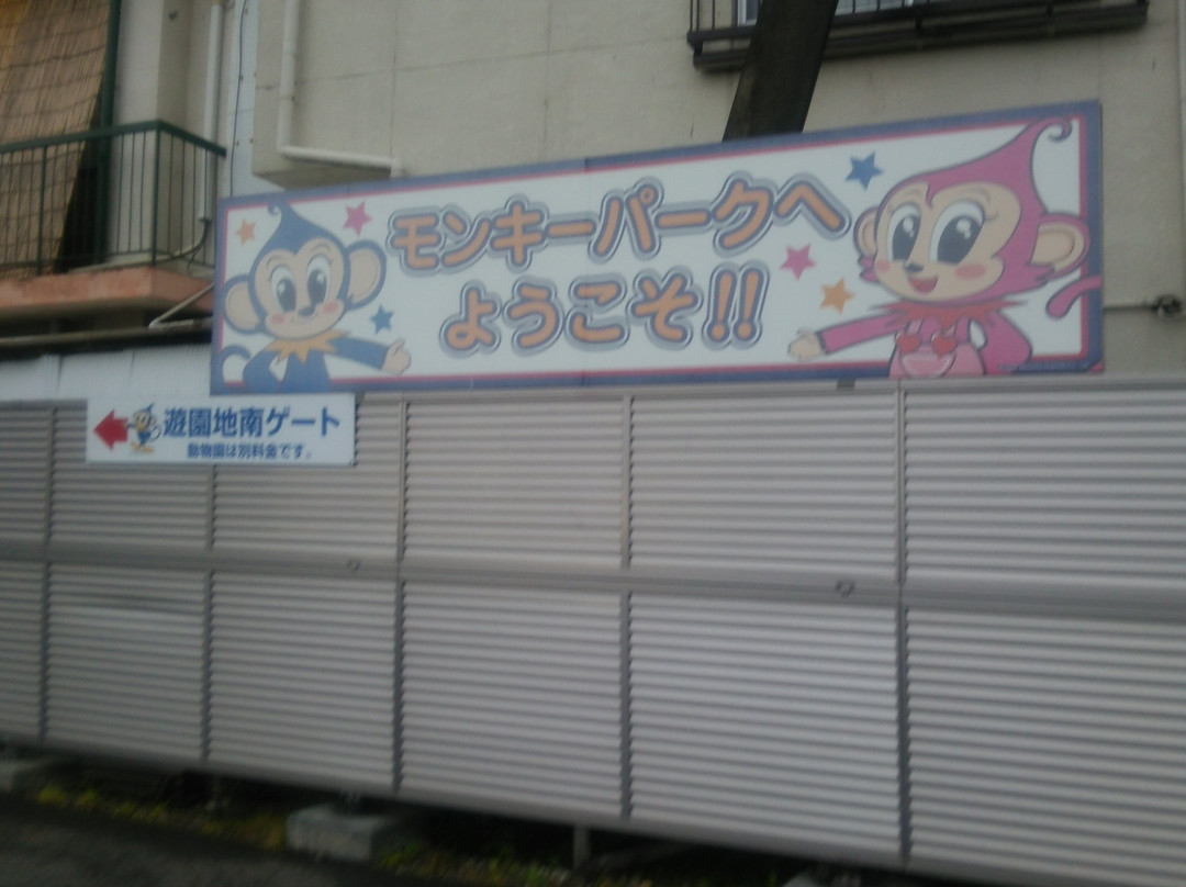 Japan Monkey Park-犬山市必去景点