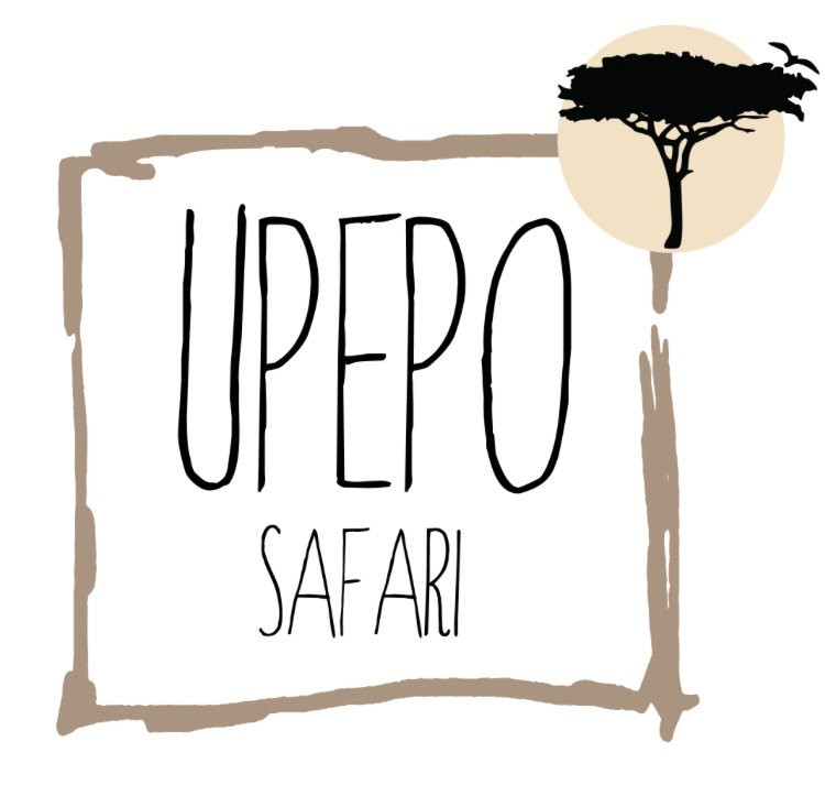 Upepo Safari-Dar es Salaam必去景点