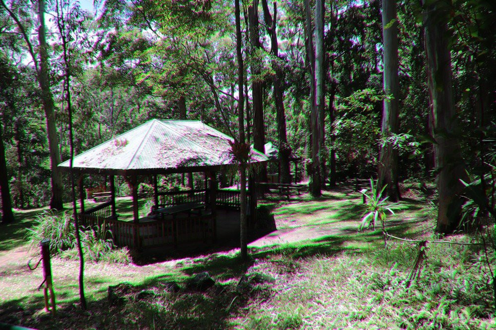 Foote Sanctuary of Buderim景点图片
