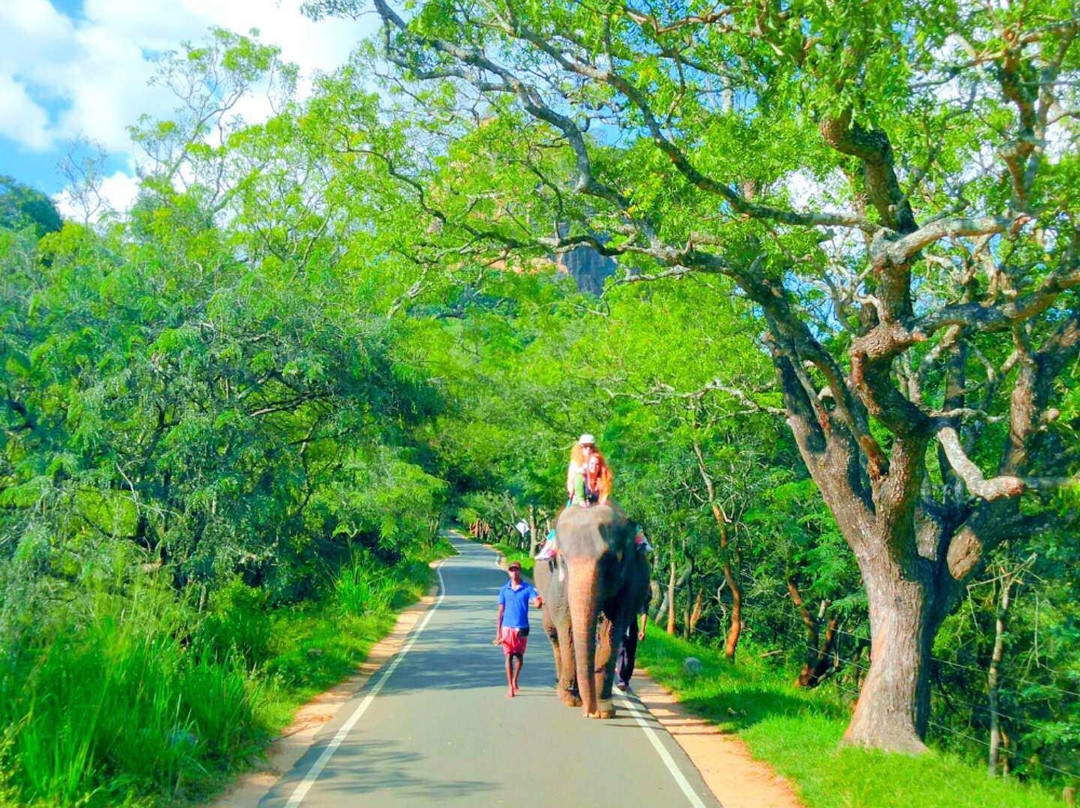 Walk Lanka Holidays