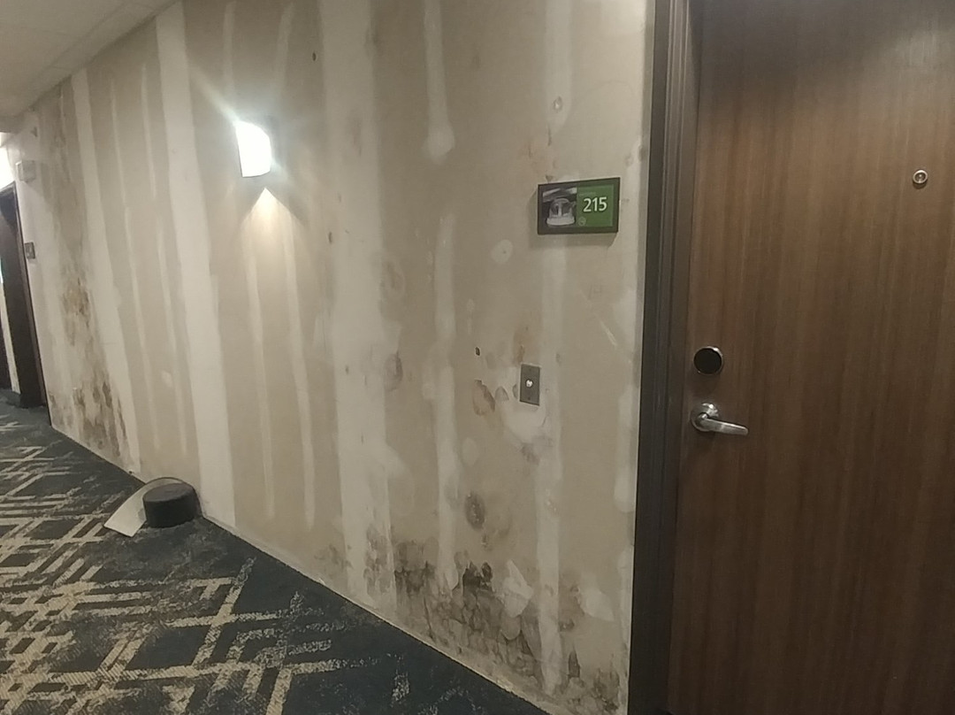 Hampton Inn & Suites By Hilton Portland Corpus Christi, Tx主图