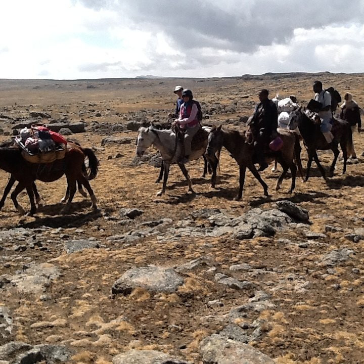 Trek Ethiopia景点图片