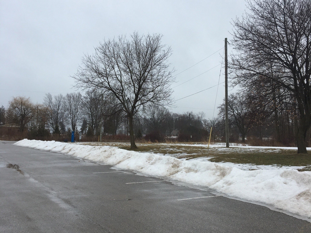 Innisfil Beach Park景点图片