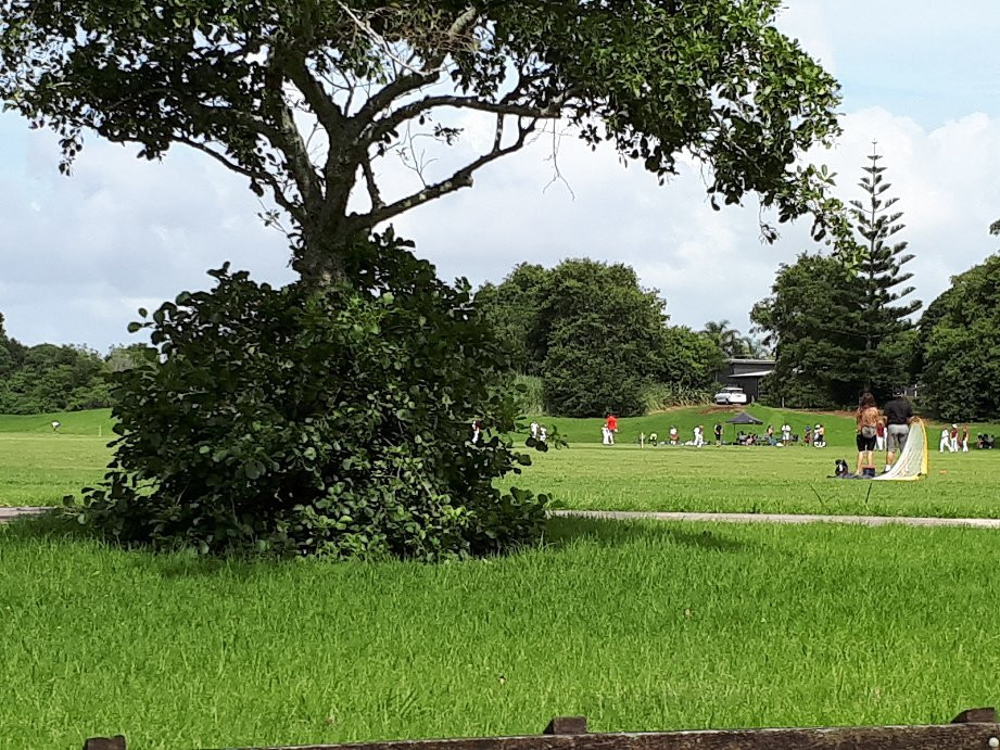 Pakuranga旅游景点-Lloyd Elsmore Park