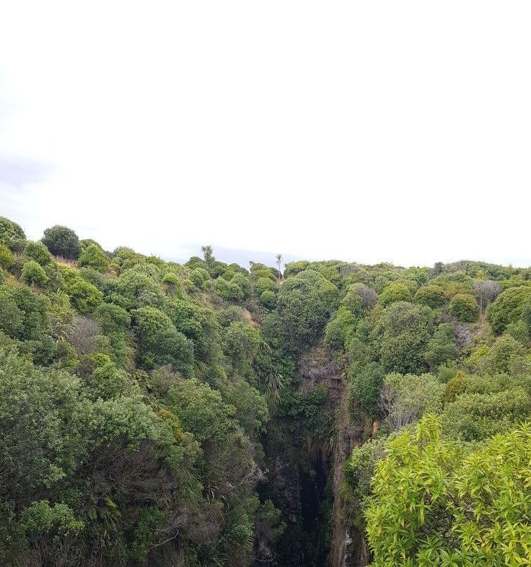 Jacks Blowhole Track景点图片