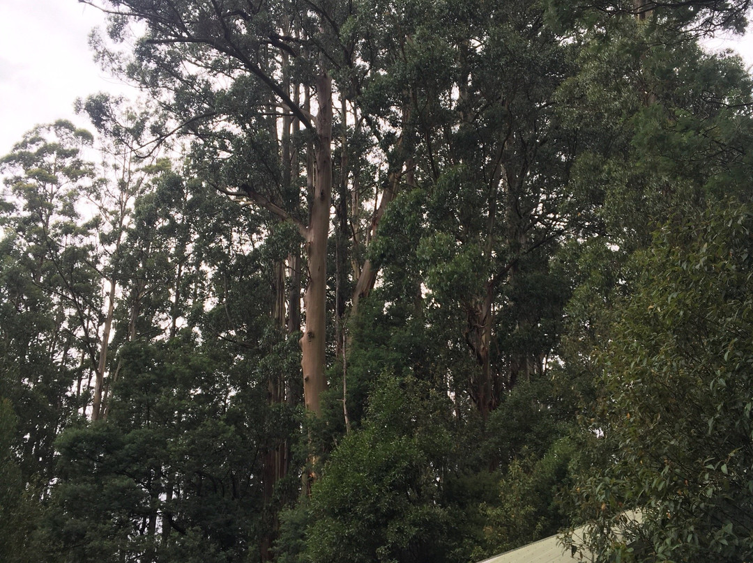 O'Donohue Picnic Ground-希尔布鲁克必去景点