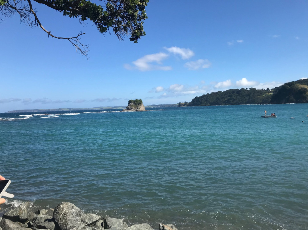 Mathesons Bay景点图片