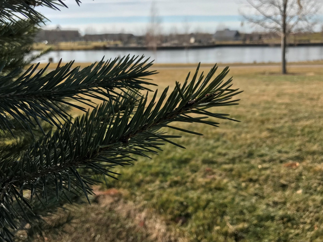 Julius M kleiner park-默里迪恩必去景点