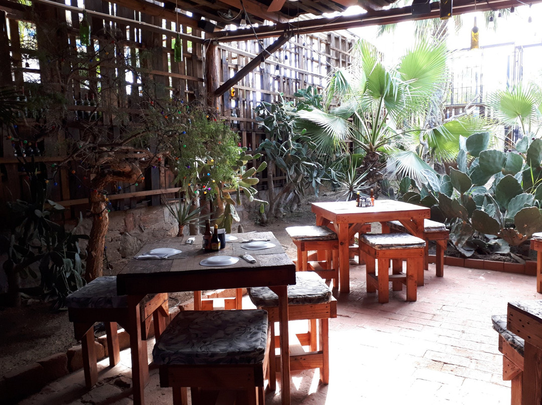 Calle Benito Juárez-托多斯桑托斯必去景点