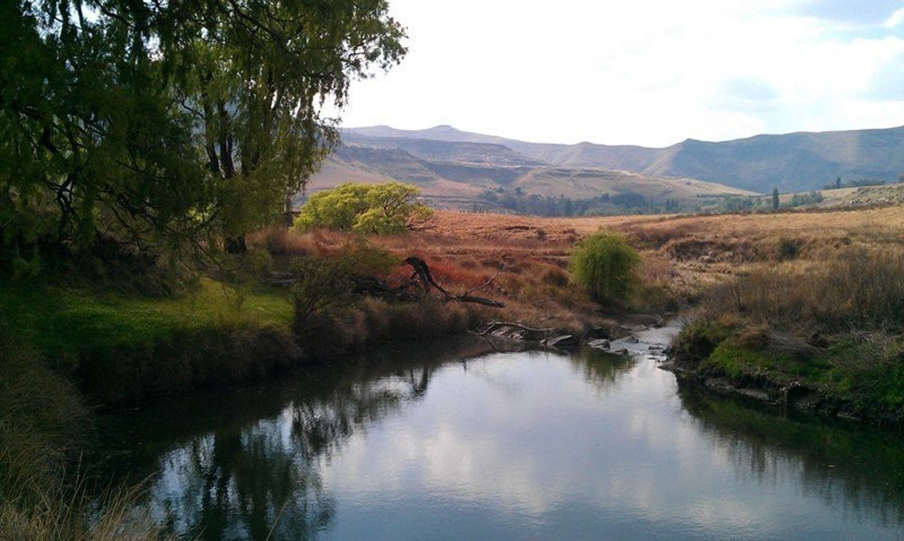 De Molen Farm Clarens-家庭/游戏区