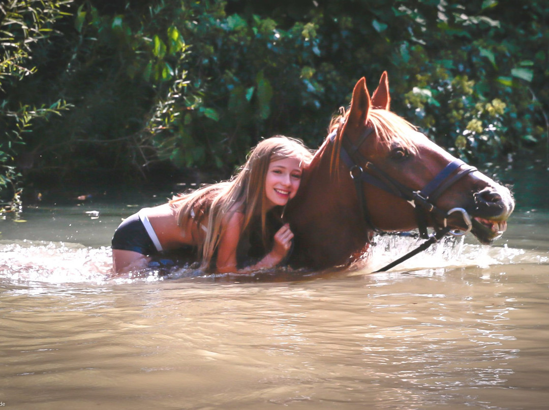 Prategiano - Horse Riding Holiday Tuscany景点图片