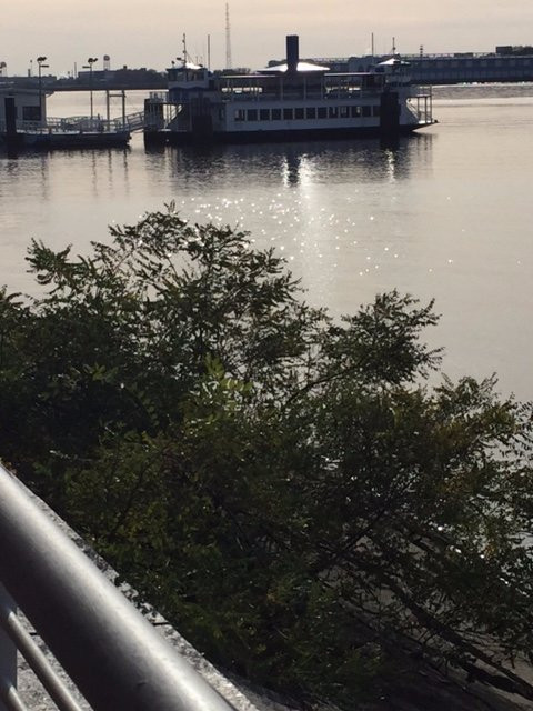 Ulysses Wiggins Waterfront Park景点图片