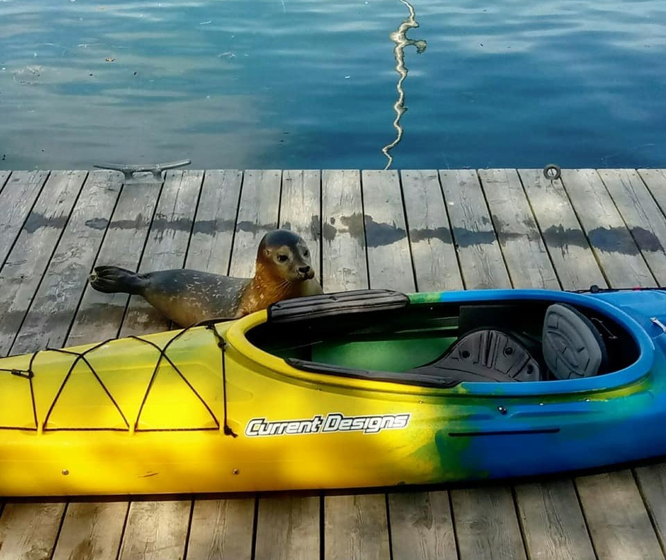 Kayak Halifax景点图片