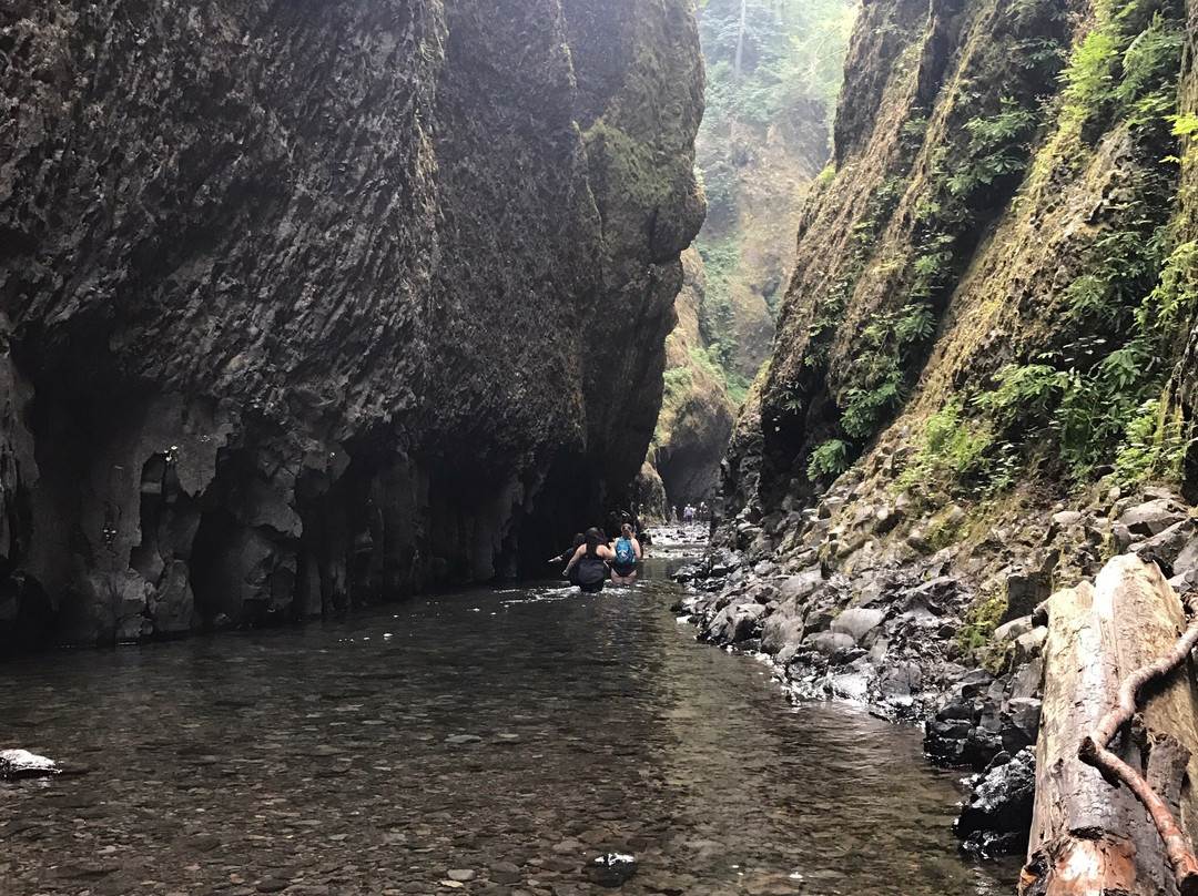 Oneonta Gorge-Cascade Locks必去景点
